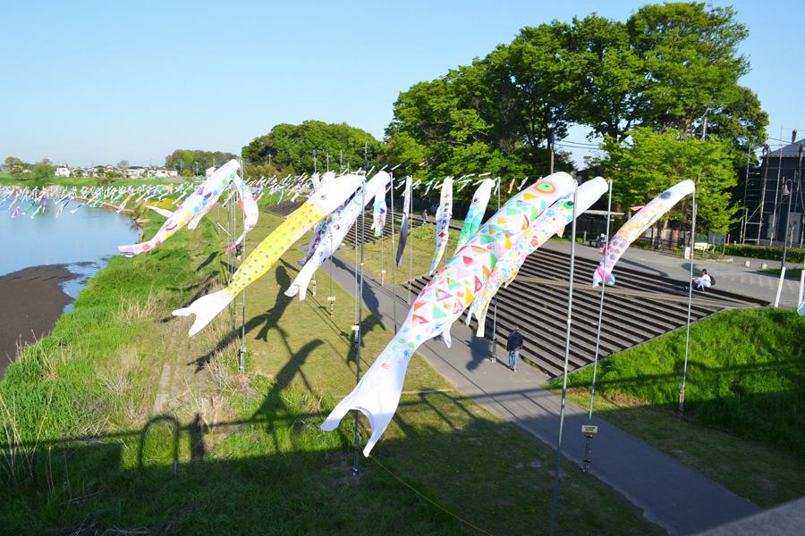 元荒川に泳いでいる９００匹ものこいのぼり