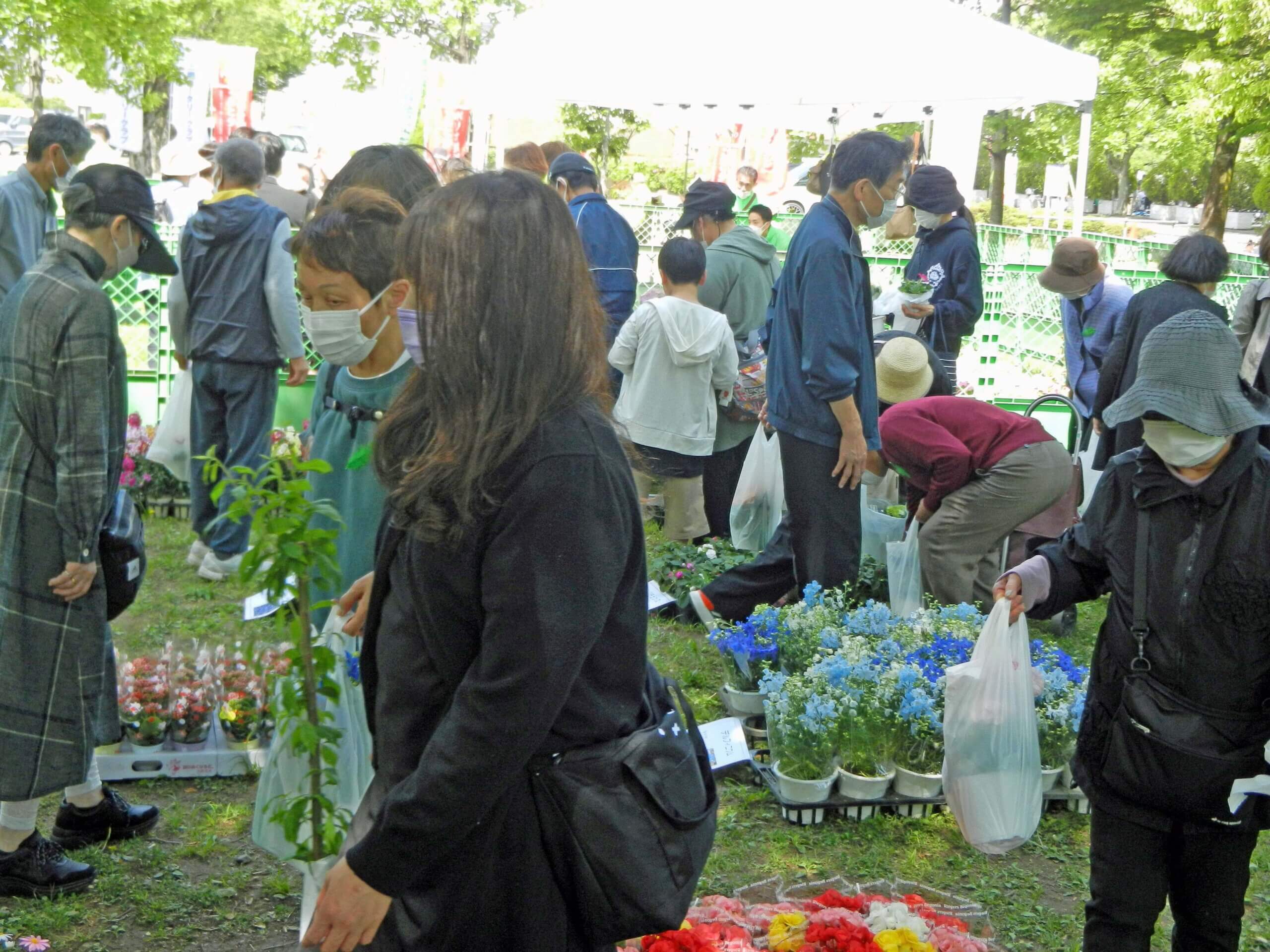 来場者でにぎわう三郷市の「春の花いっぱい運動」