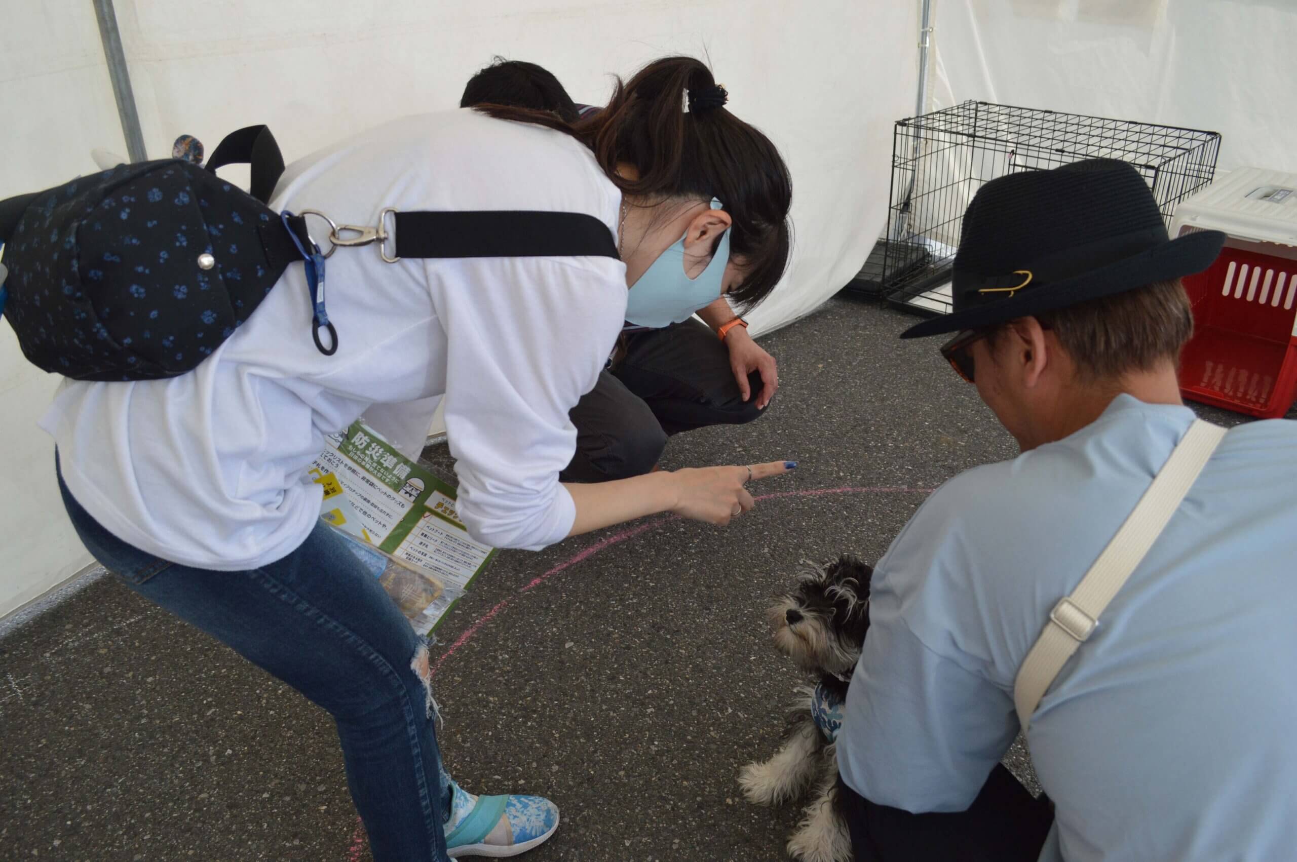 避難先で困らない基本しつけに挑戦するペットと飼い主（イオンペットのブースで）