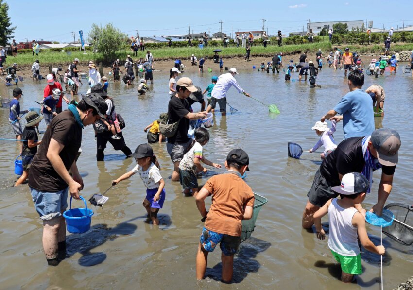 魚とり「夏まつり」で「中川のお魚調査」に参加した親子連れら