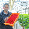 収穫したイチゴ「あまりん」を手にする荻島部会長
