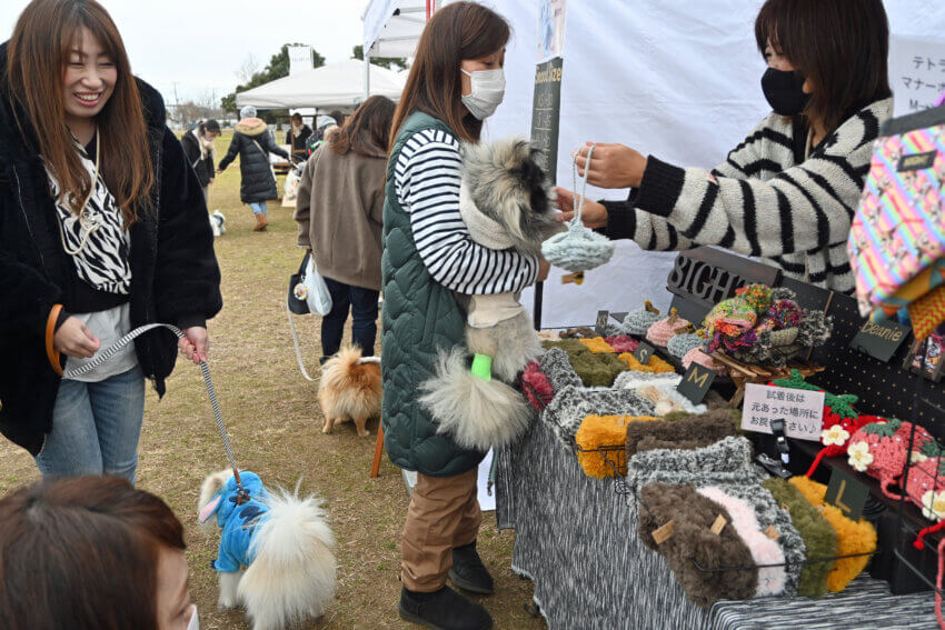 愛犬のための買
い物をする飼い主