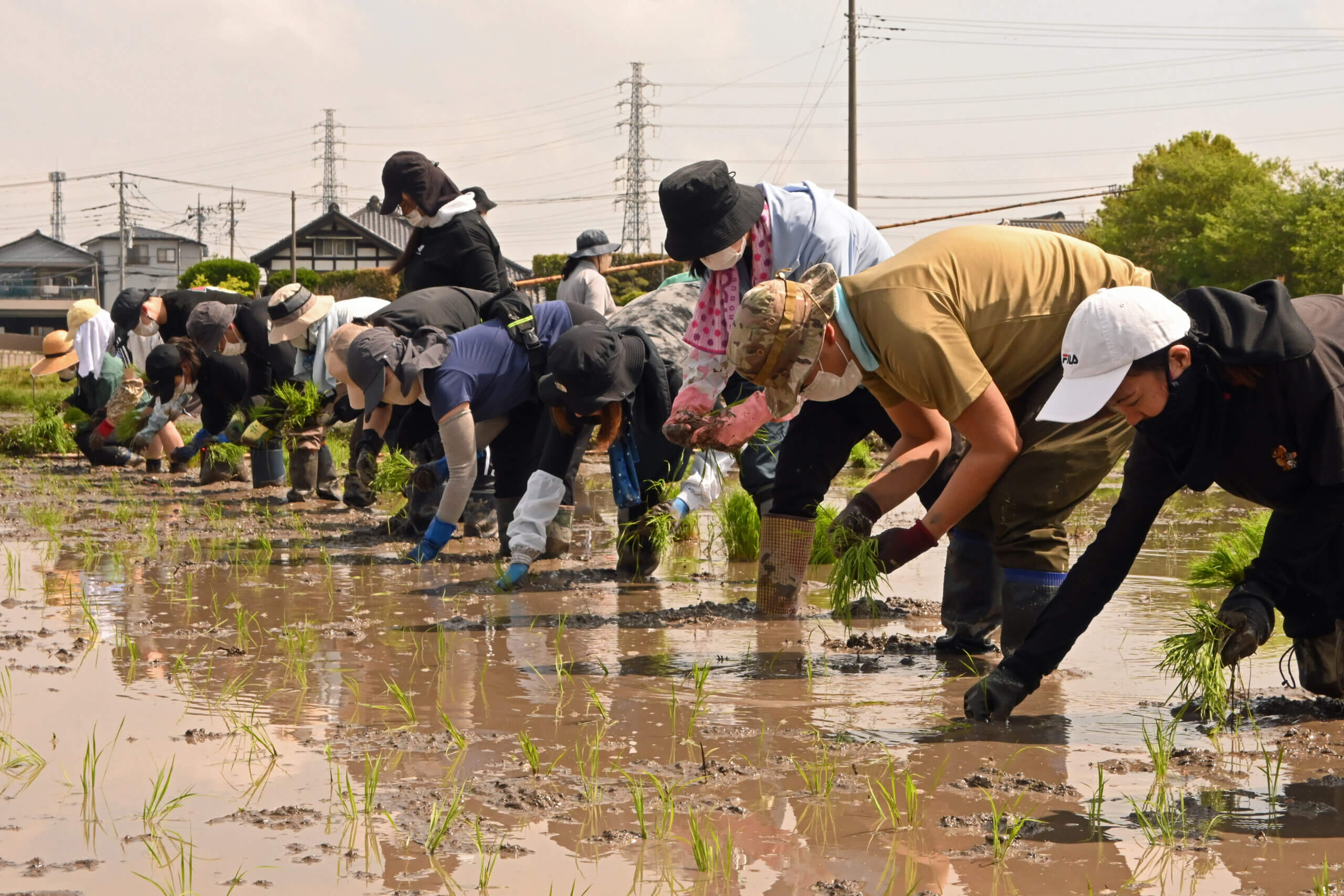 新人研修の一環で行われた田植え