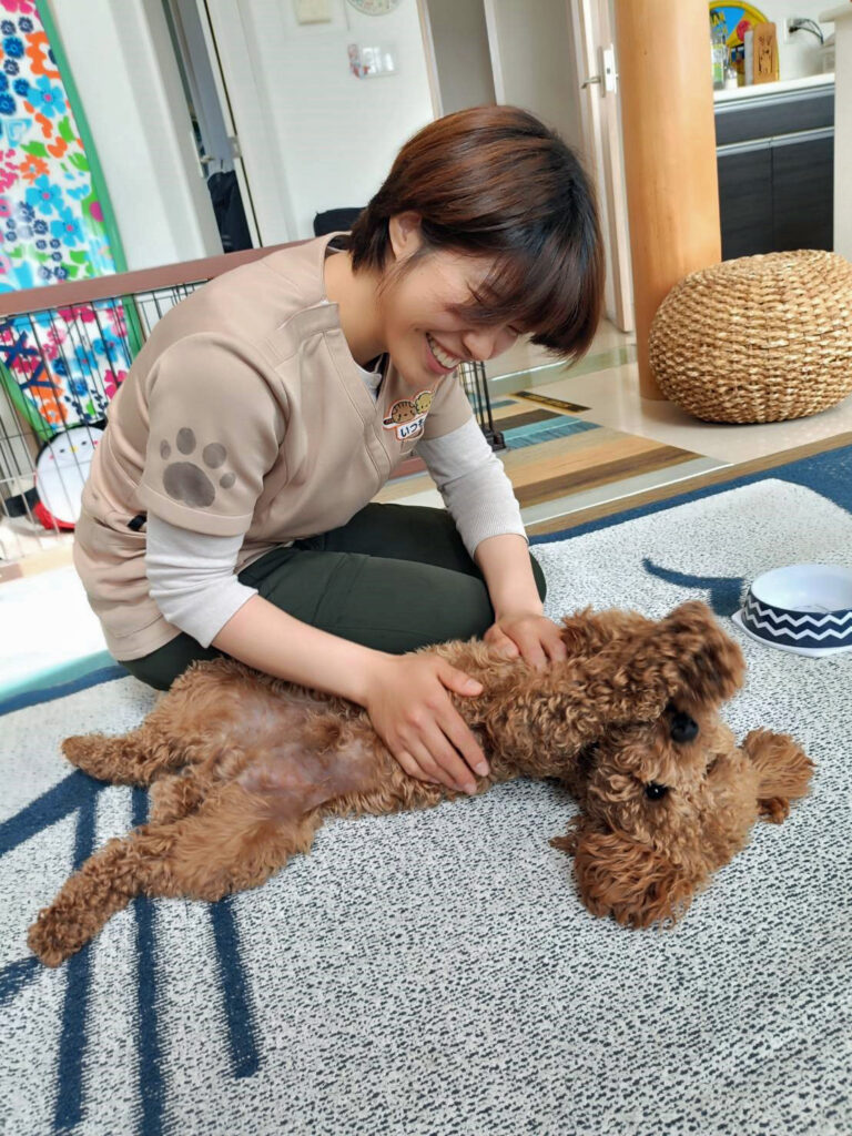 飼い主の家で犬の世話をする栁沼さん