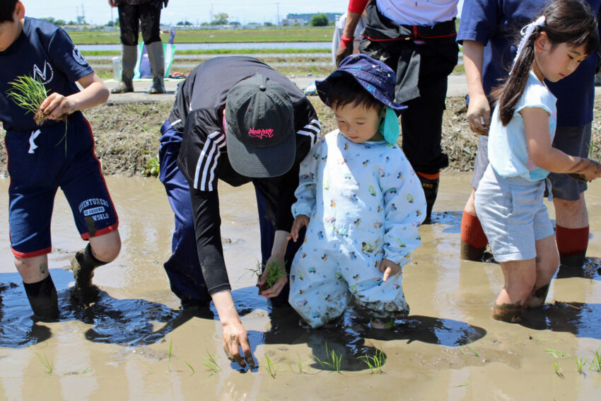 泥まみれで田植えをする親子ら