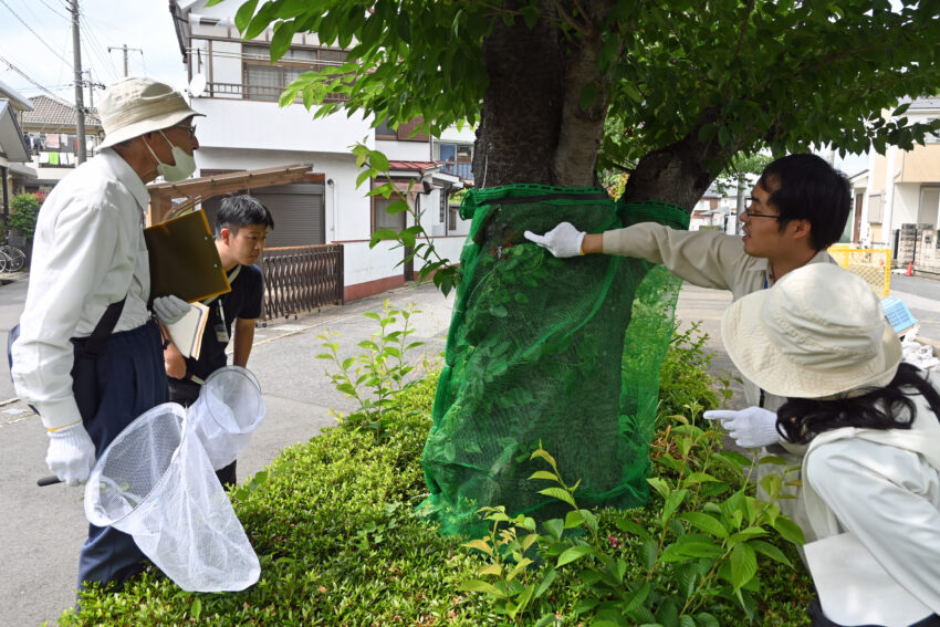 大熊さんと本多さんに捕殺方法を説明する吉富主任(右奥)と高橋主査(左奥)