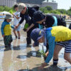 田んぼアートの田植えをする親子ら
